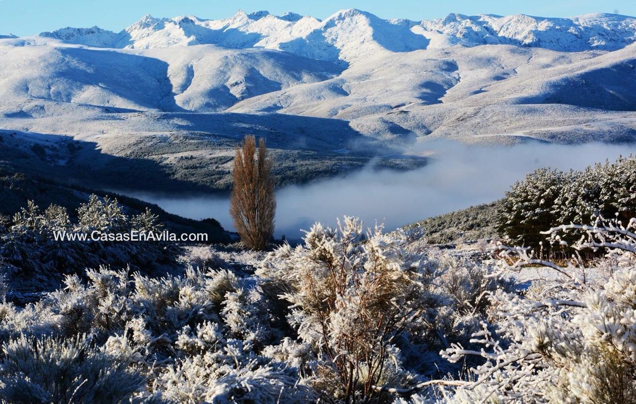 La Pasailla De Gredos ξενώνας Navacepeda de Tormes Εξωτερικό φωτογραφία
