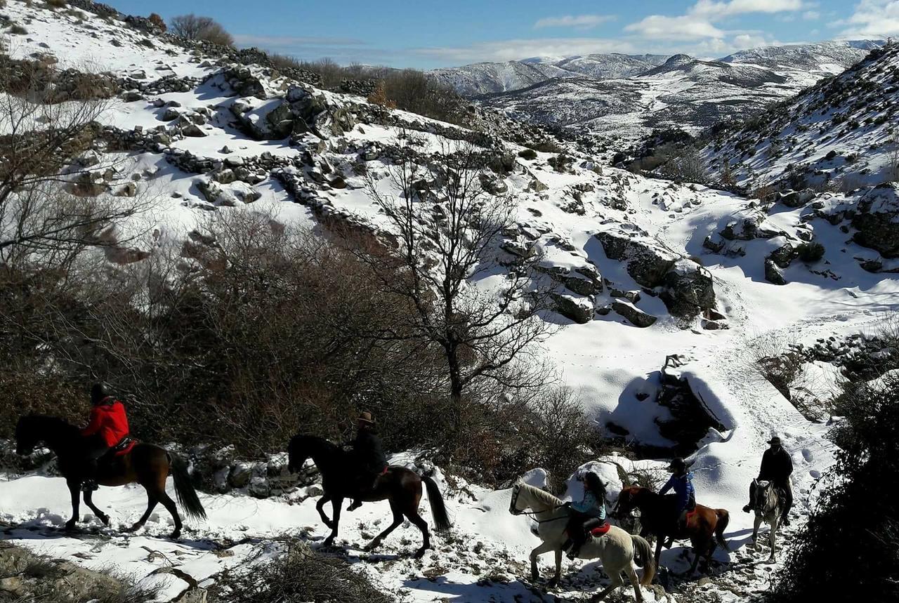 La Pasailla De Gredos ξενώνας Navacepeda de Tormes Εξωτερικό φωτογραφία